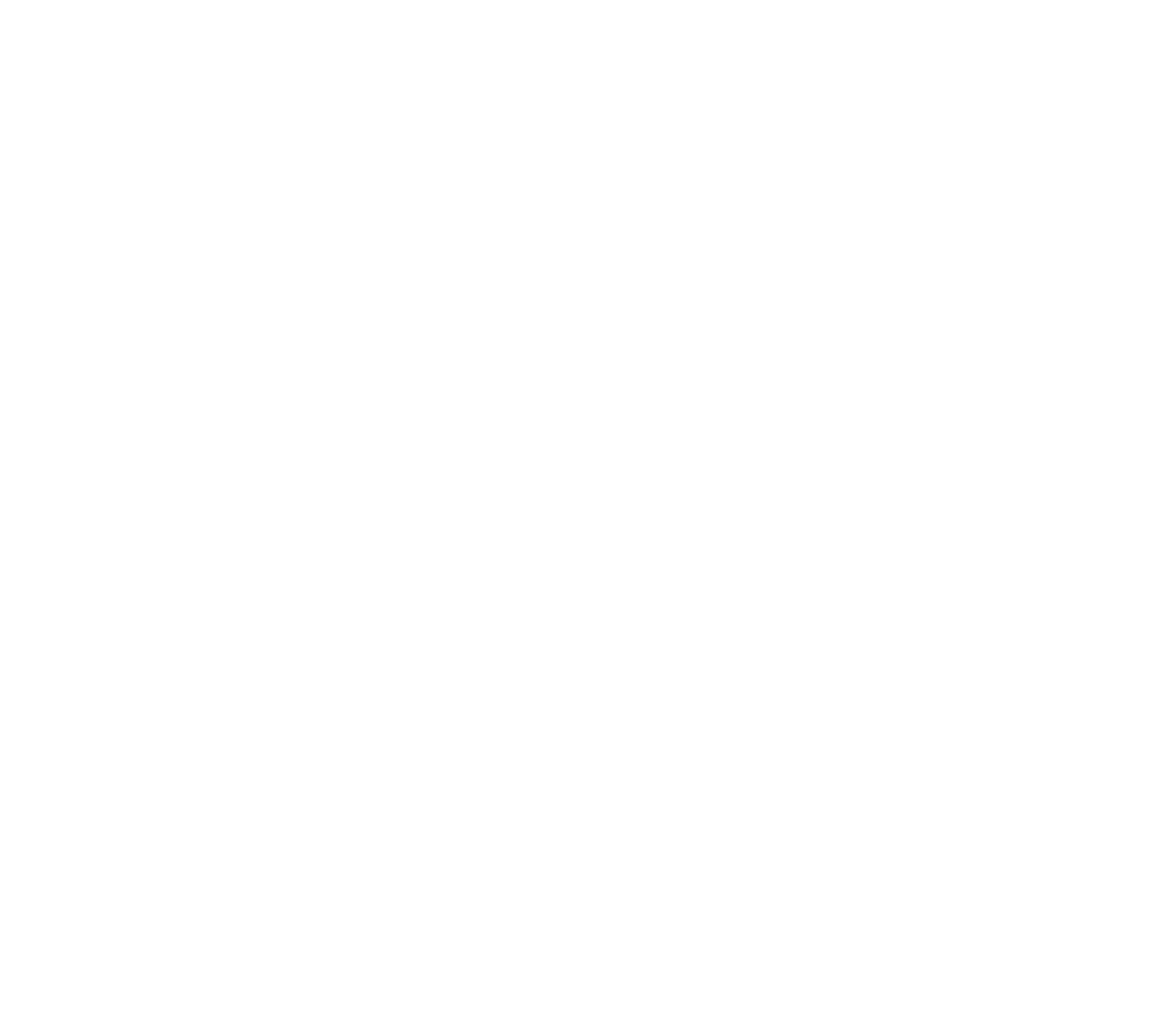 logo st gobain blanc