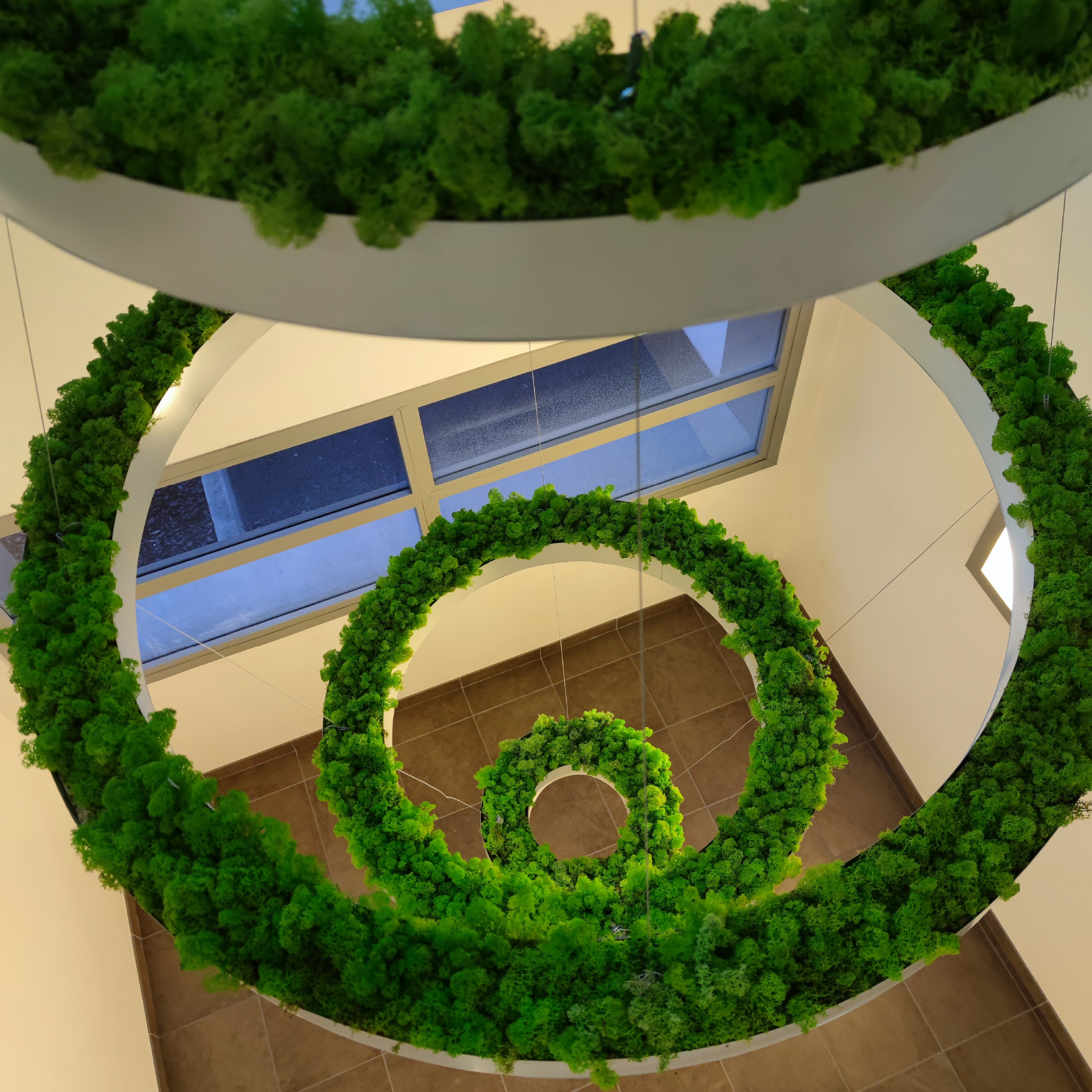 occuper-les-volumes_design-vegetal